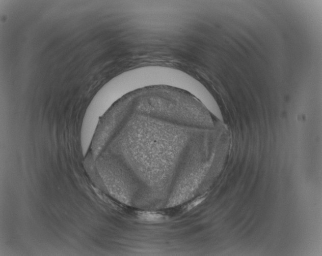 X0000083640380200703121726