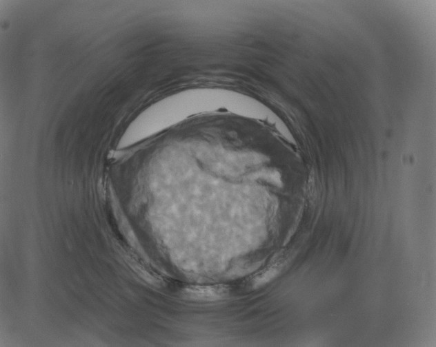 X0000083640381200703121726