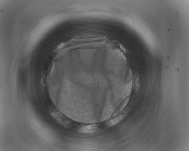 X0000083640382200703121726