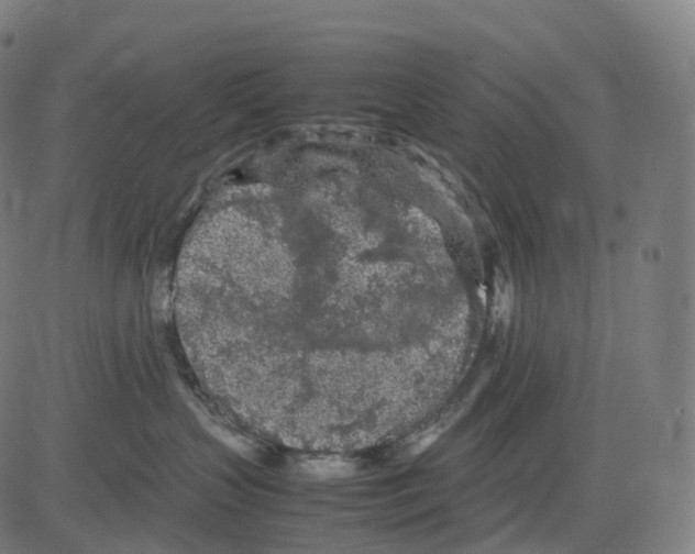 X0000083640383200703121726