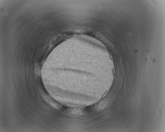 X0000083640384200703121726