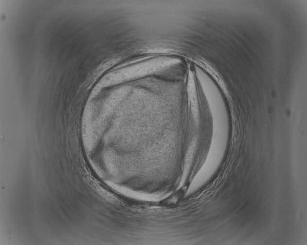 X0000083640385200703121725