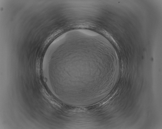 X0000083640386200703121725