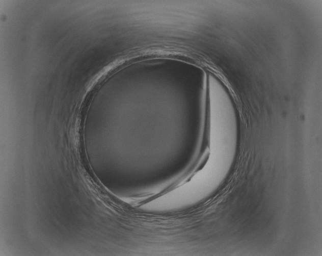 X0000083640387200703121725