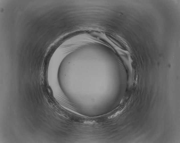 X0000083640388200703121725