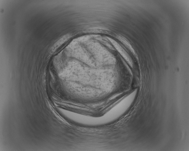 X0000083640389200703121725