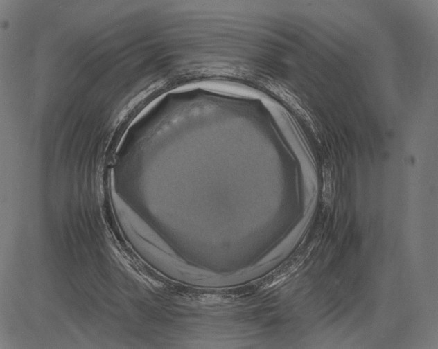 X0000083640390200703121725