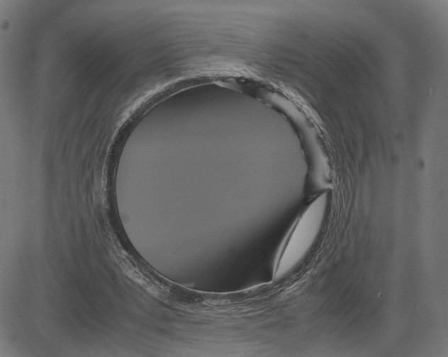 X0000083640391200703121725