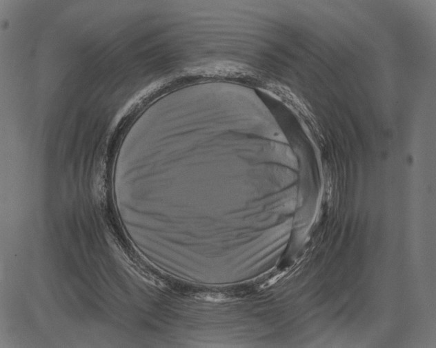 X0000083640392200703121725