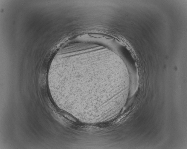 X0000083640393200703121725