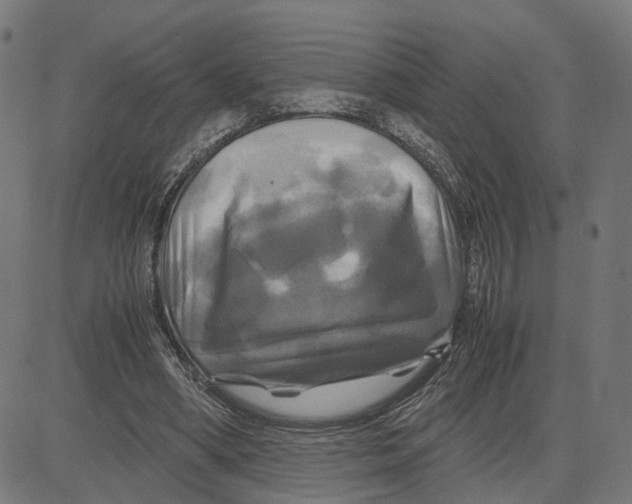 X0000083640394200703121725