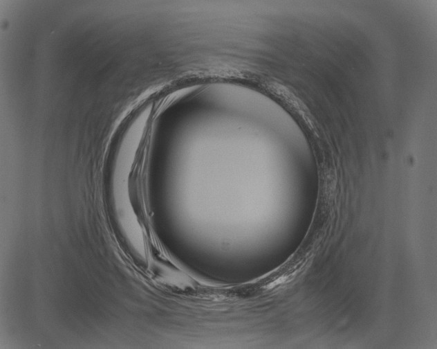 X0000083640395200703121725