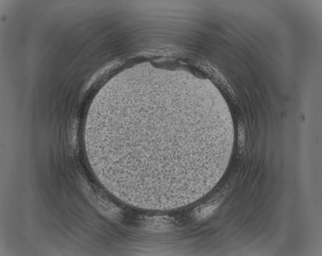 X0000083640396200703121725