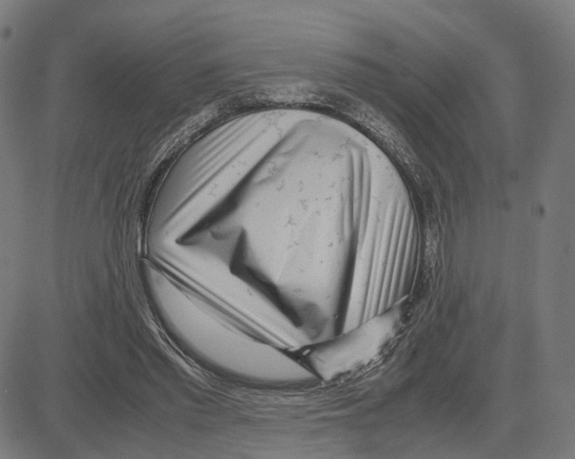 X0000083640397200703121725