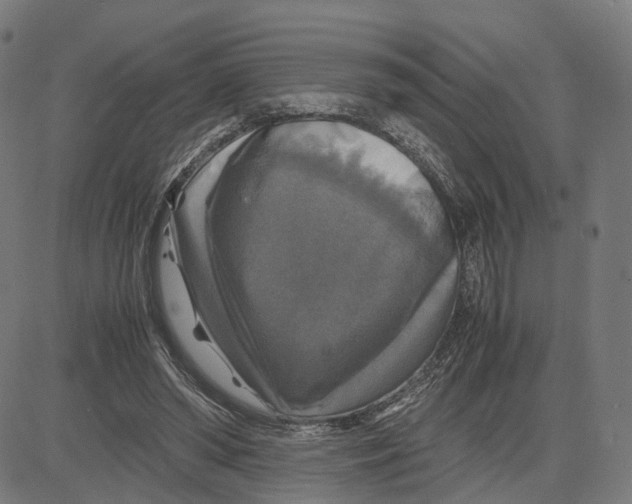 X0000083640398200703121725