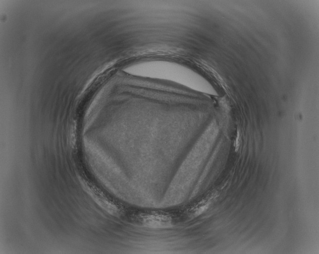 X0000083640400200703121725