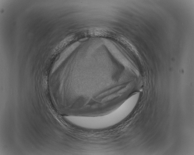 X0000083640401200703121725