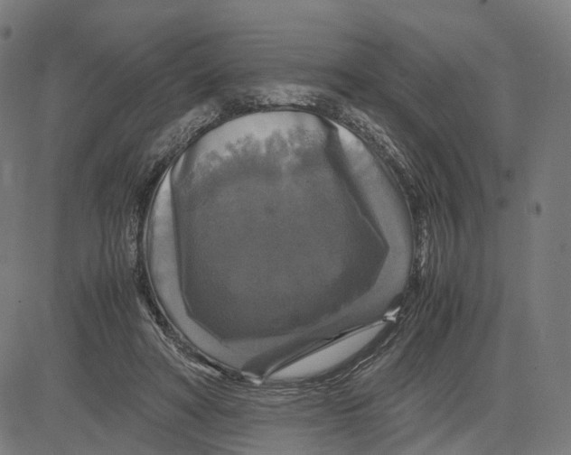 X0000083640402200703121725