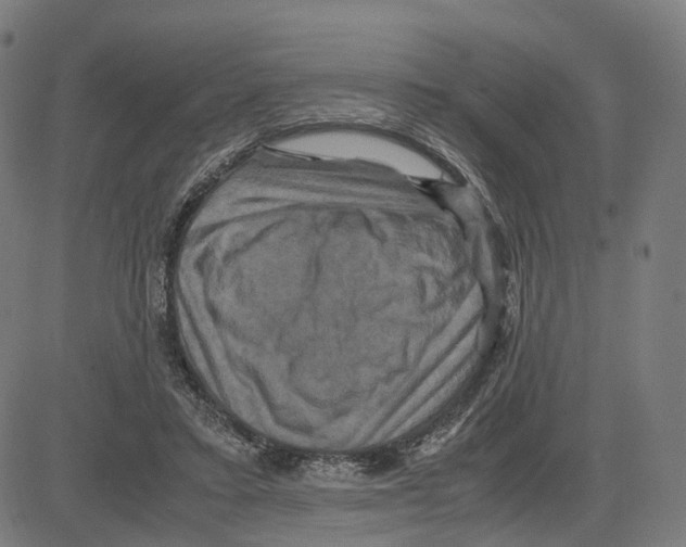 X0000083640403200703121725