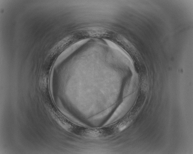 X0000083640405200703121725