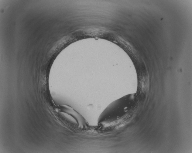 X0000083640407200703121725