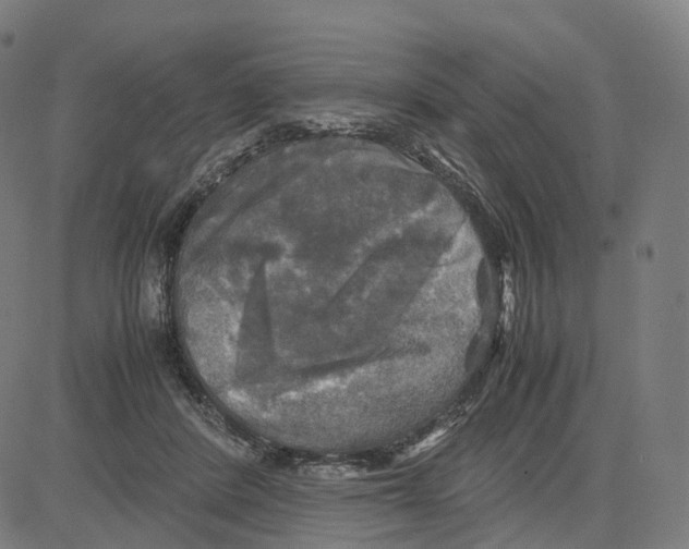 X0000083640408200703121725