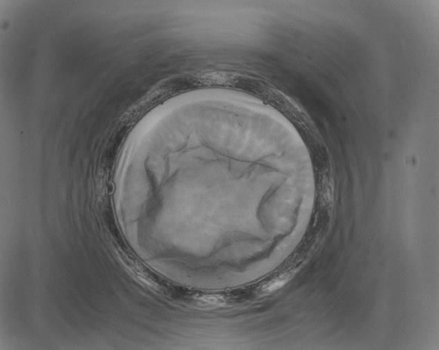 X0000083640409200703121725