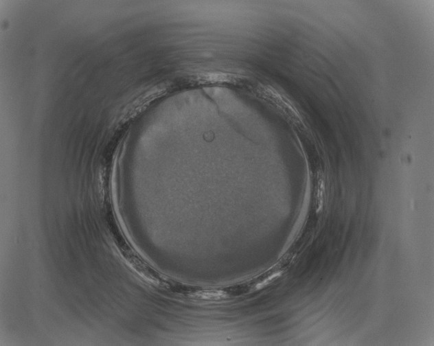 X0000083640410200703121725