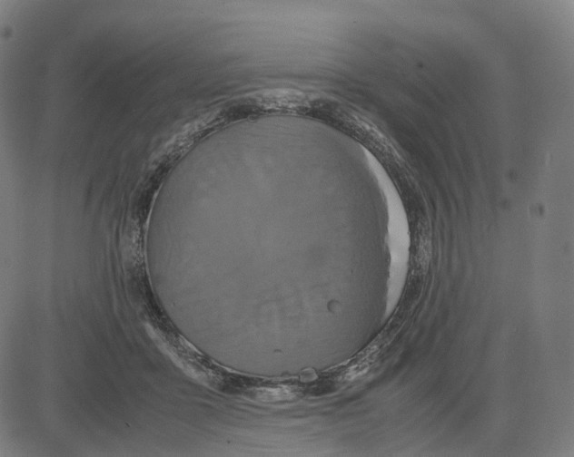 X0000083640411200703121725