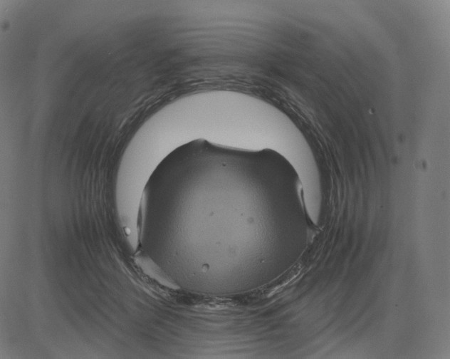 X0000083640412200703121725