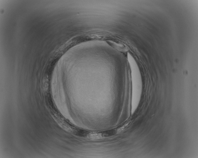 X0000083640413200703121725