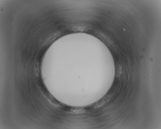 X0000083640414200703121725