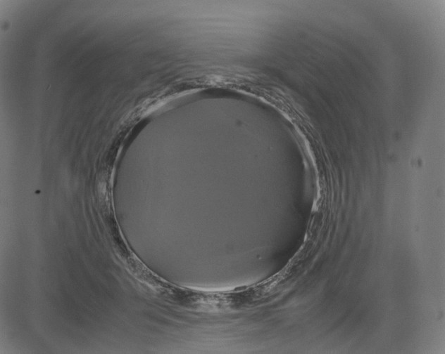 X0000083640415200703121725