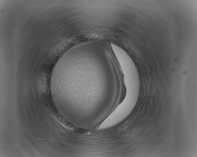 X0000083640416200703121724