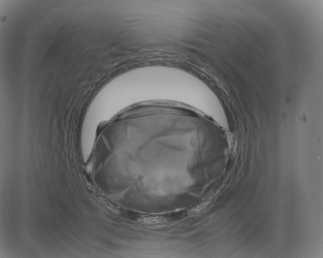 X0000083640417200703121724