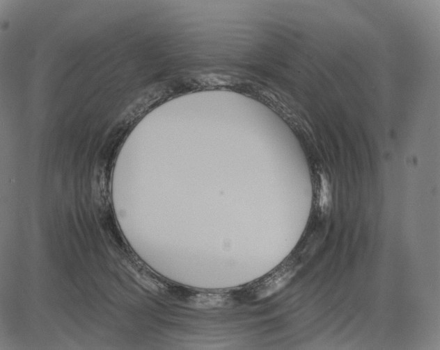 X0000083640418200703121724