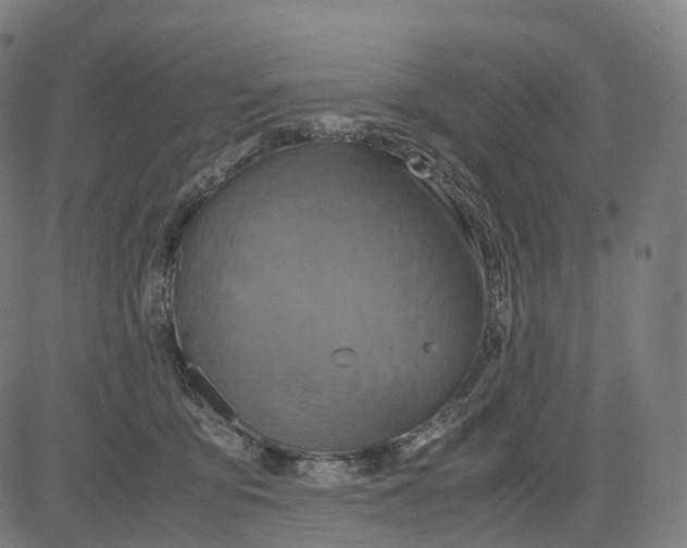 X0000083640419200703121724