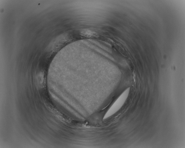 X0000083640420200703121724