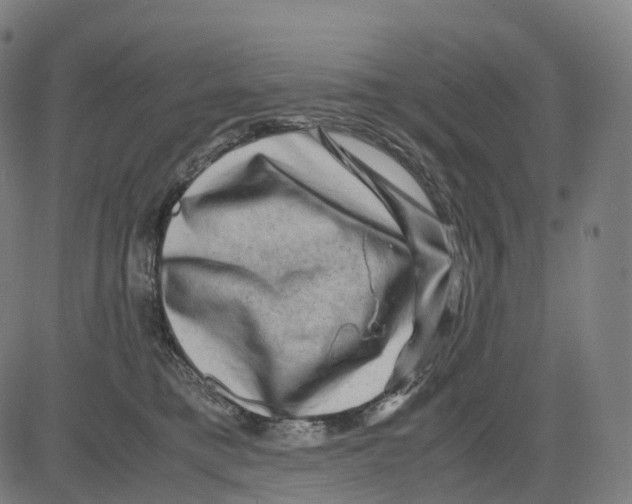 X0000083640421200703121724