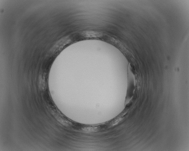 X0000083640422200703121724