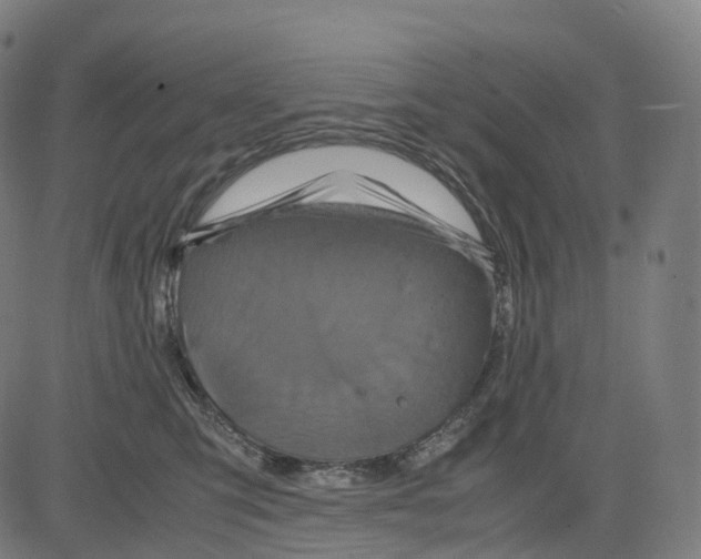 X0000083640423200703121724