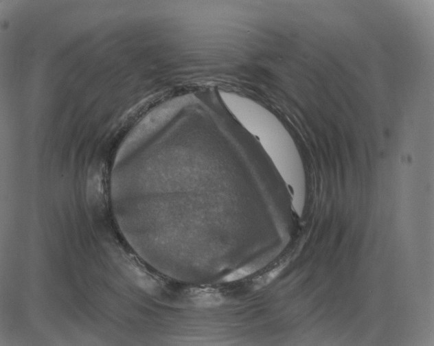 X0000083640424200703121724