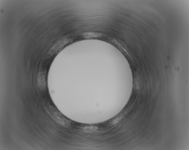 X0000083640426200703121724