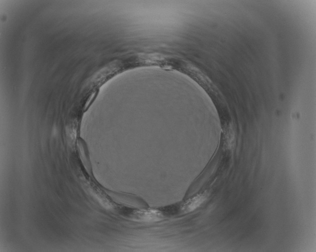 X0000083640427200703121724