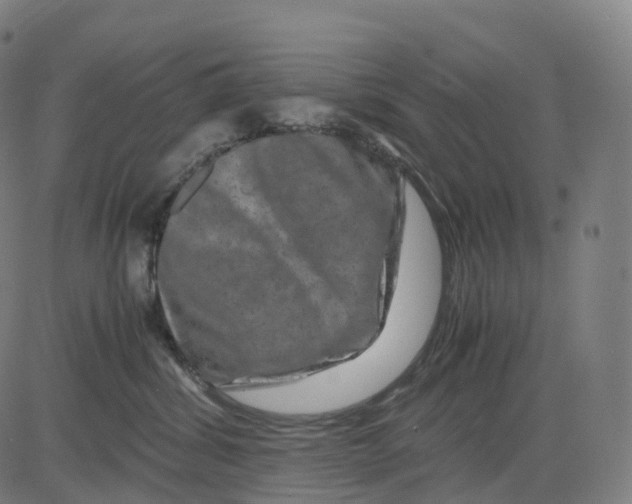 X0000083640428200703121724