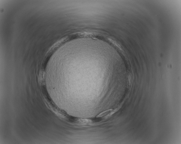 X0000083640429200703121724