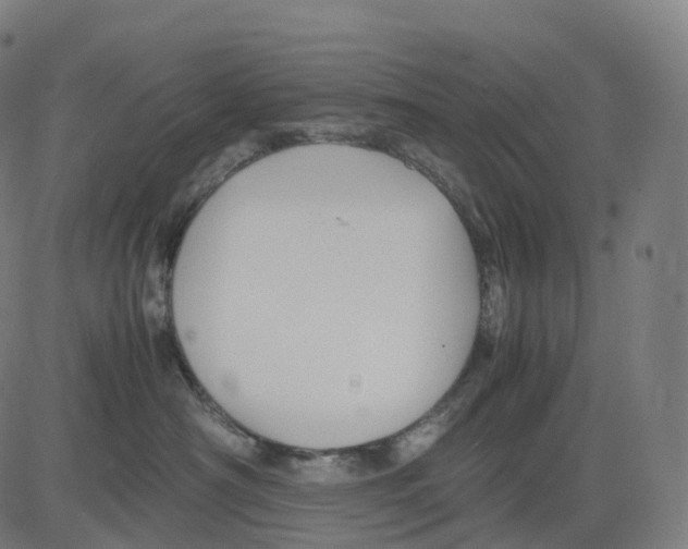 X0000083640430200703121724