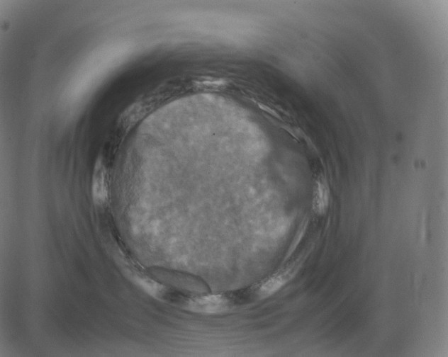 X0000083640431200703121724