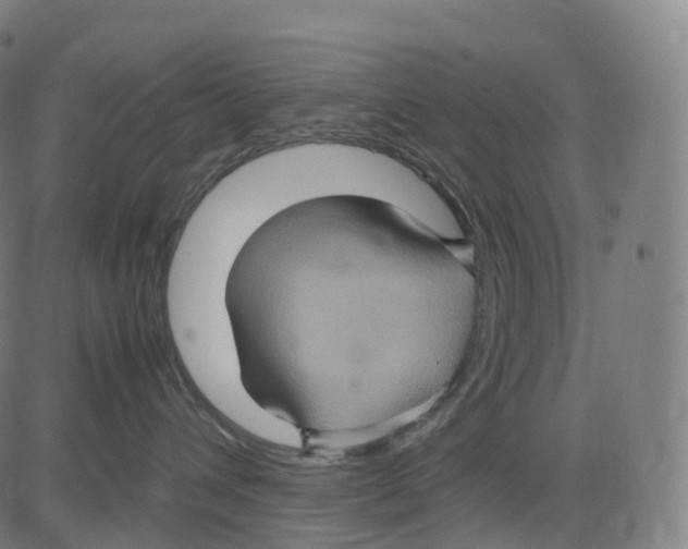 X0000083640432200703121724