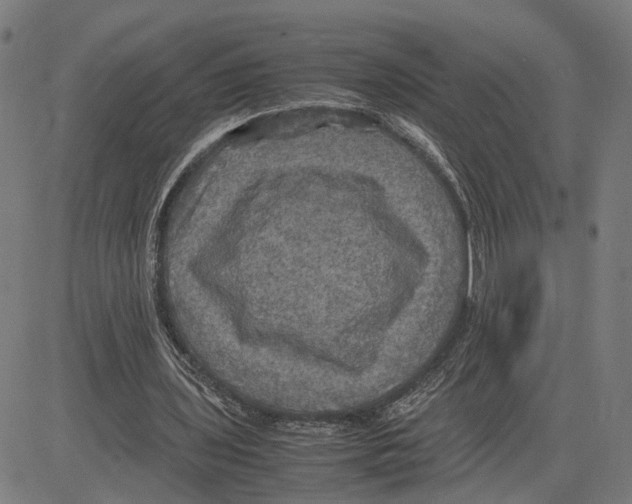 X0000083640435200703121723